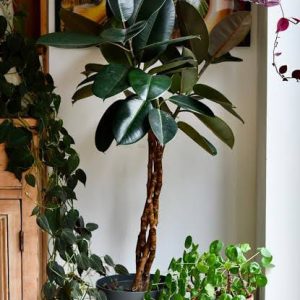 artificial plants