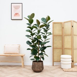 artificial plants